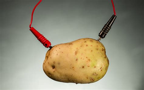Potato Power! .